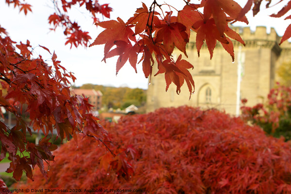 Morpeth Courthouse Northumberland Picture Board by David Thompson