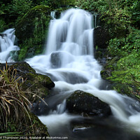 Buy canvas prints of Trossachs Forest Hills  Waterfall by David Thompson