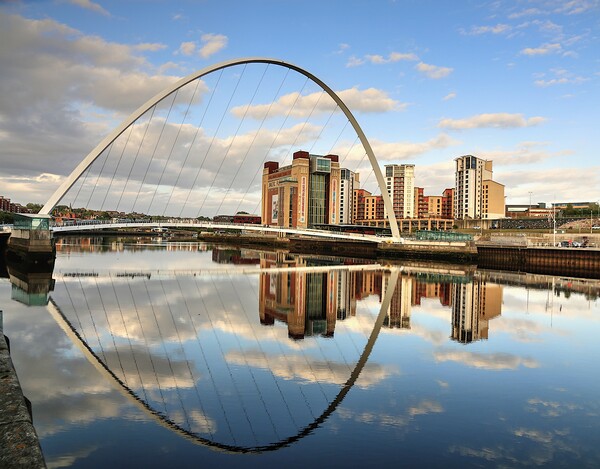 Newcastle Quayside Millennium Bridge  Picture Board by David Thompson