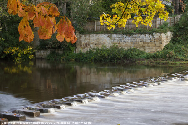 Autumn in Morpeth Northumberland Picture Board by David Thompson