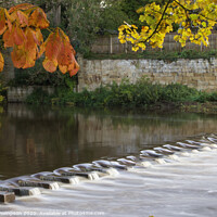 Buy canvas prints of Autumn in Morpeth Northumberland by David Thompson