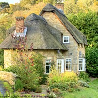 Buy canvas prints of Mitford Thatched Cottage Northumberland  by David Thompson