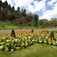 Buy canvas prints of Morpeth Carlisle park Northumberland by David Thompson