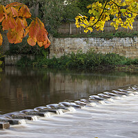 Buy canvas prints of Morpeth Stepping Stones Northumberland by David Thompson