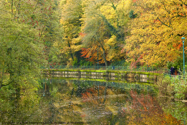 Morpeth promenade in Autumn Picture Board by David Thompson