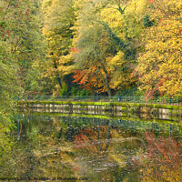 Buy canvas prints of Morpeth promenade in Autumn by David Thompson
