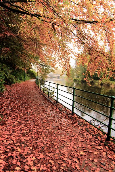 Morpeth Northumberland  Promenade in Autumn  Picture Board by David Thompson
