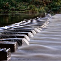 Buy canvas prints of Stepping Stones Morpeth Northumberland by David Thompson