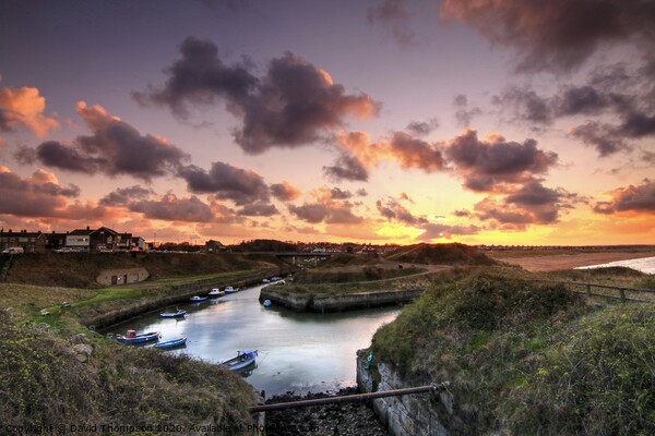 Sunset at Seaton Sluice Northumberland Picture Board by David Thompson