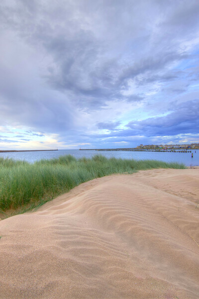 Warkworth Sand Dunes Northumberland Picture Board by David Thompson