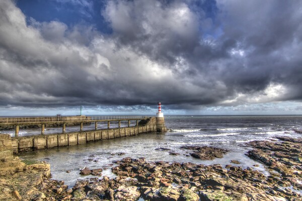 Amble pier Northumberland Coast Picture Board by David Thompson