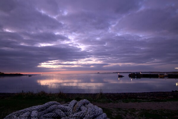Holy Island Lindisfarne Northumberland Coast  Picture Board by David Thompson
