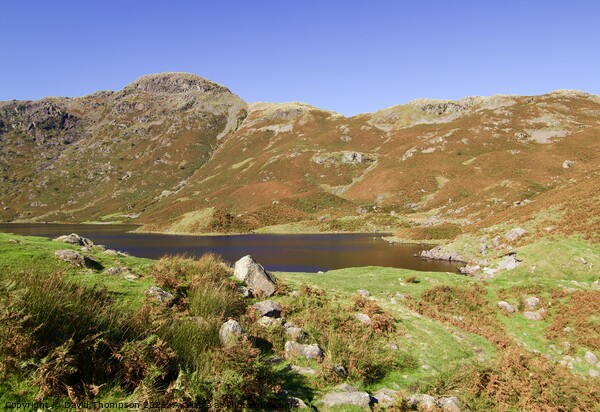 Easdale Tarn Lake District Picture Board by David Thompson