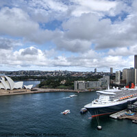 Buy canvas prints of Queen Mary Sydney Harbour by David Thompson
