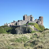 Buy canvas prints of Bamburgh Castle Northumberland by David Thompson