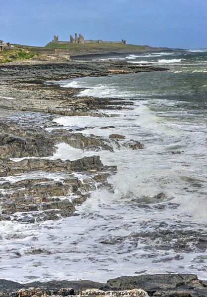 Dunstanburgh Castle Northumberland Coast  Picture Board by David Thompson