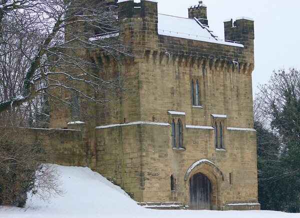Morpeth castle Picture Board by David Thompson