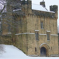 Buy canvas prints of Morpeth castle by David Thompson