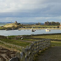 Buy canvas prints of Holy island harbour from Lindisfarne castle by David Thompson