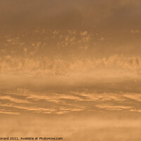 Buy canvas prints of Golden sunset sky, telephoto perspective gives abstract background by Rhys Leonard