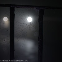 Buy canvas prints of Spooky night time fog around a cobweb under railings with dew on it by Rhys Leonard