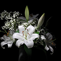 Buy canvas prints of Bouquet of pure white lilies by Rhys Leonard