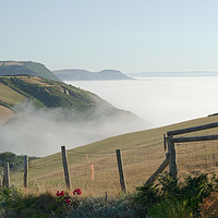 Buy canvas prints of Sea mist rises from under green cliffs by Rhys Leonard