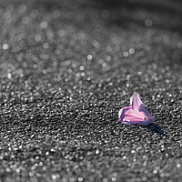 Buy canvas prints of colorful Pink and red flower fallen on grey tarmac by Rhys Leonard