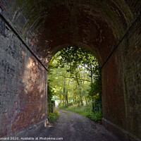 Buy canvas prints of Red brick tunnel contains a muddy double-track lane by Rhys Leonard