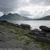Buy canvas prints of Shoreline landscape from the isle of raasay, green seaweed. by Rhys Leonard