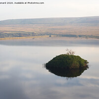 Buy canvas prints of Redmires reservoir island of plants by Rhys Leonard