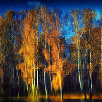 Buy canvas prints of autumn reflection by Maria Galushkina