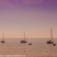 Buy canvas prints of Glowing boats in tranquil Madeira by David Thomas