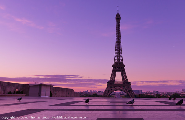 Golden Sunrise over Paris Picture Board by David Thomas