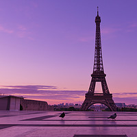 Buy canvas prints of Golden Sunrise over Paris by David Thomas