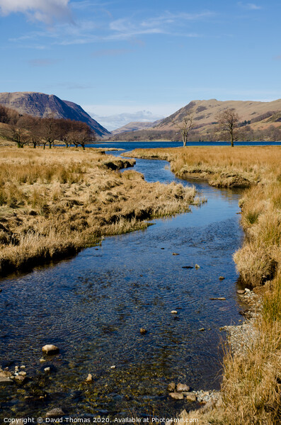 Serenity in Buttermere Picture Board by David Thomas