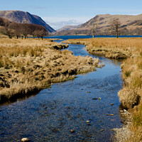 Buy canvas prints of Serenity in Buttermere by David Thomas