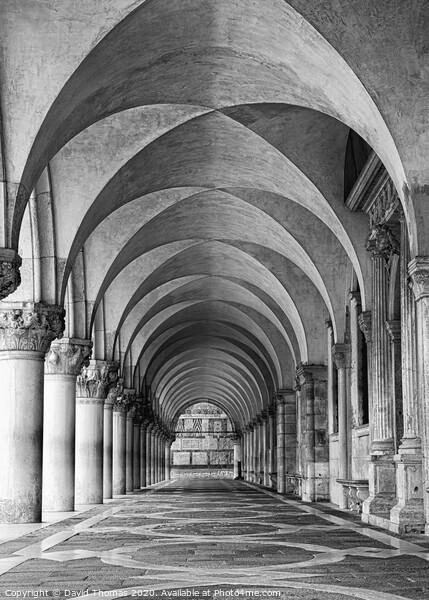 Magnificent Arches of Doges Palace Picture Board by David Thomas