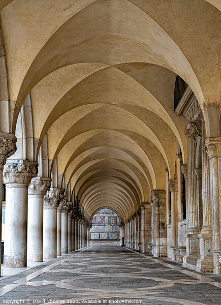 Majestic Arches of Doges Palace in Venice Picture Board by David Thomas