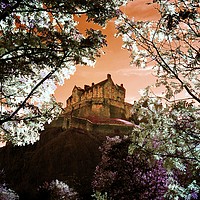 Buy canvas prints of Edinburgh Castle through the trees by Philip Hawkins