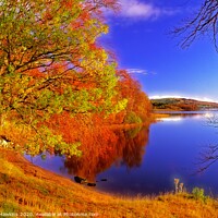 Buy canvas prints of Autumn colours at Loch Rannoch by Philip Hawkins
