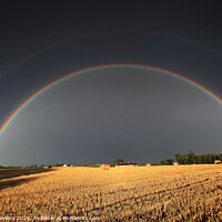 Buy canvas prints of Harvest rainbow by Philip Hawkins