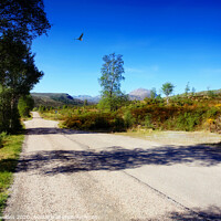 Buy canvas prints of Single Track Road by Philip Hawkins