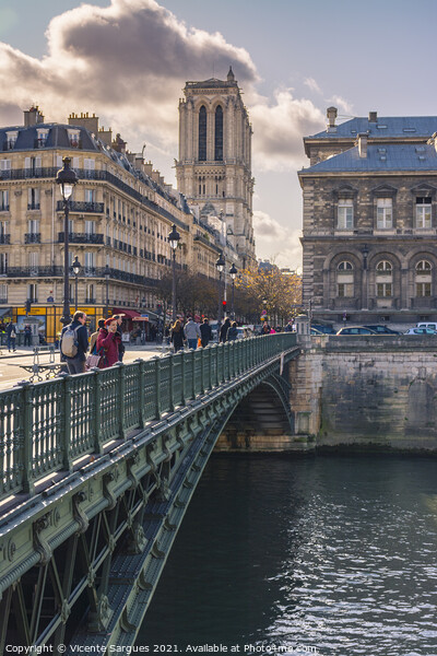 Notre Dame from the Seine river Picture Board by Vicente Sargues