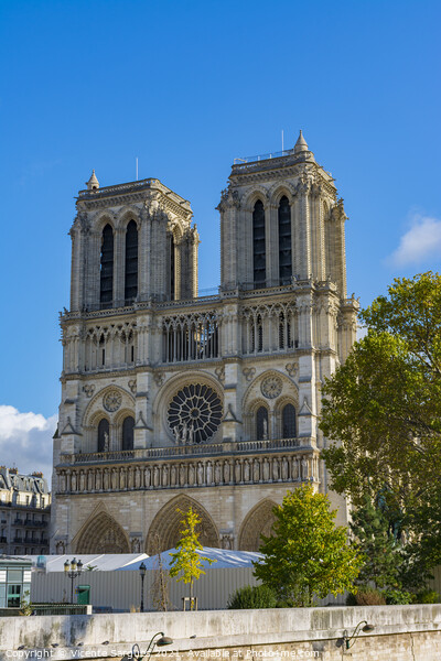 Notre Dame Cathedral facade Picture Board by Vicente Sargues