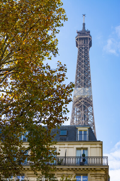 Eiffel tower, buildings and trees Picture Board by Vicente Sargues