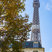Buy canvas prints of Eiffel tower, buildings and trees by Vicente Sargues
