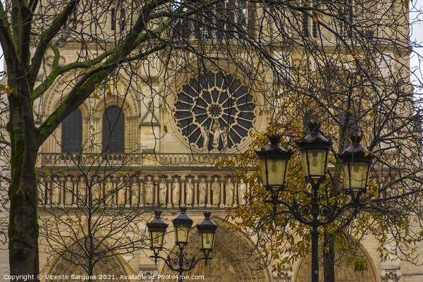 Notre Dame Cathedral among branches Picture Board by Vicente Sargues