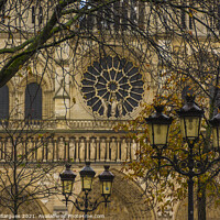 Buy canvas prints of Notre Dame Cathedral among branches by Vicente Sargues