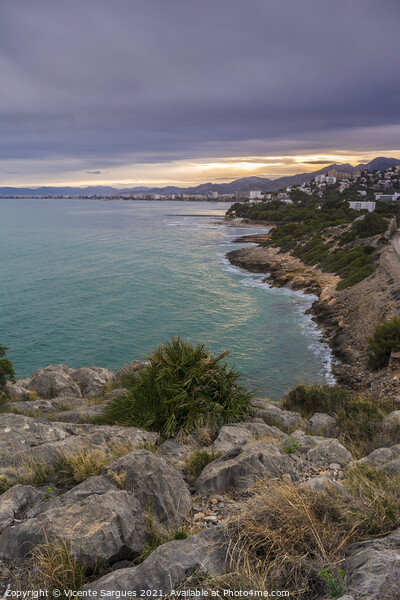 Benicassim coast from the hill Picture Board by Vicente Sargues